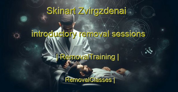 Skinart Zvirgzdenai introductory removal sessions | RemovalTraining | RemovalClasses | SkinartTraining-Lithuania